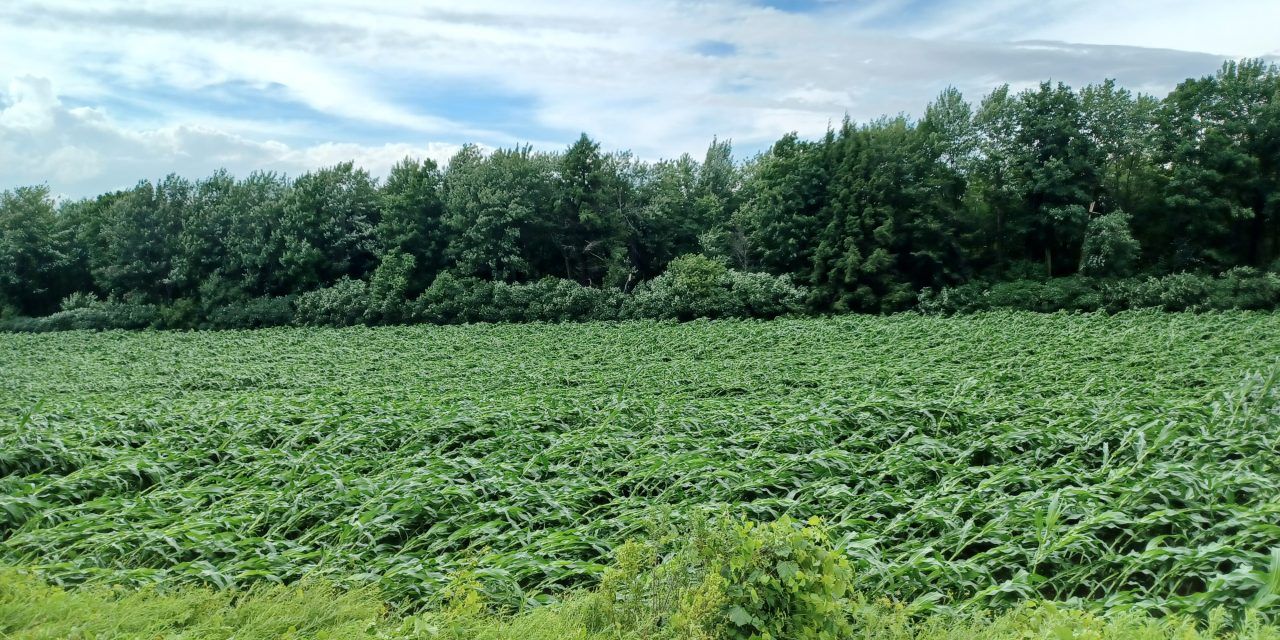Tornadoes confirmed near Fournier and Embrun