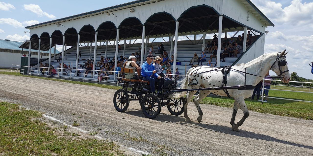 Enjoy the Vankleek Hill Horse and Buggy Expo on July 9