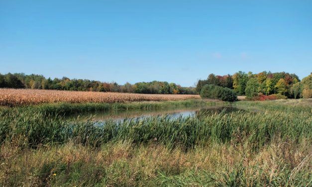 Raisin Region Conservation offering stewardship funding for farmers