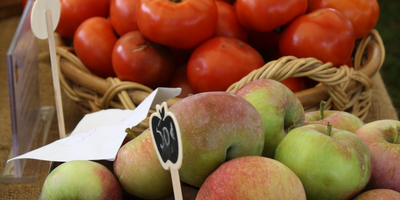 Fall Festival at Glengarry Pioneer Museum