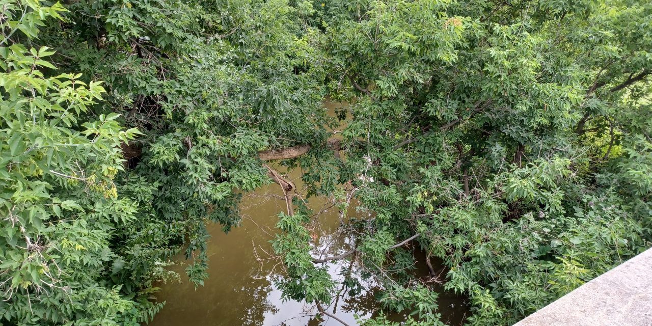 Champlain Township to recover Mill Creek Drain costs through tax levy