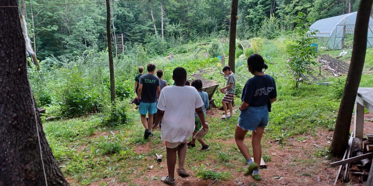 Picnic with a Purpose coming to Camp Amy Molson