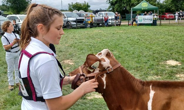 Agricultural fairs for everyone to enjoy