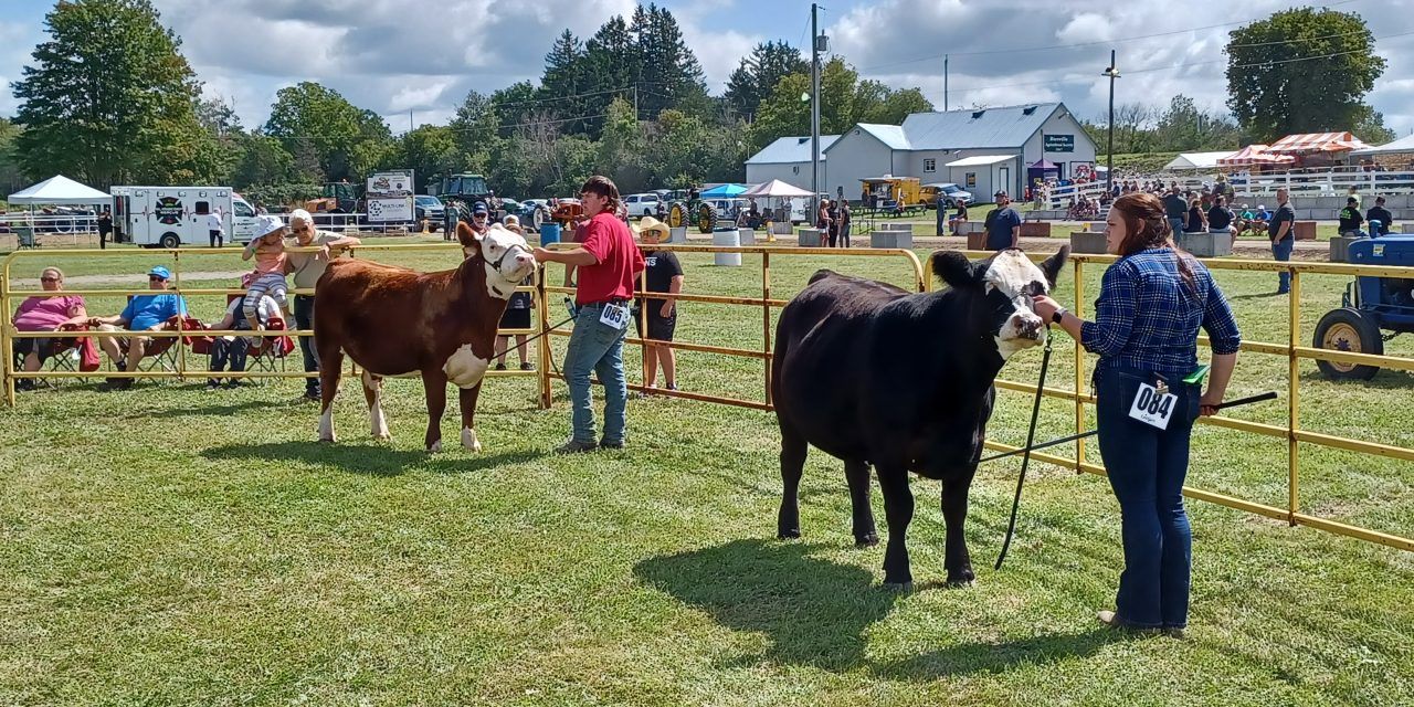 Old-fashioned fair time in Riceville