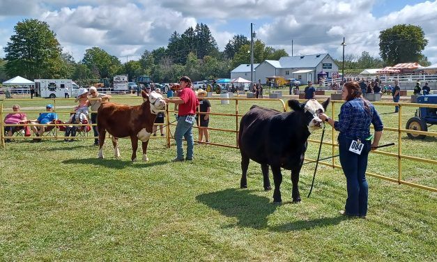 Old-fashioned fair time in Riceville