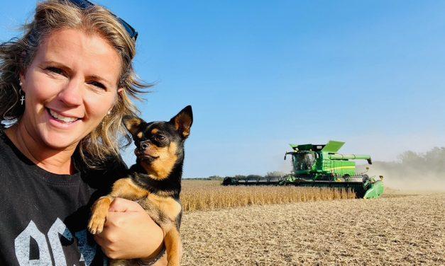 Le bonheur est dans le soya!