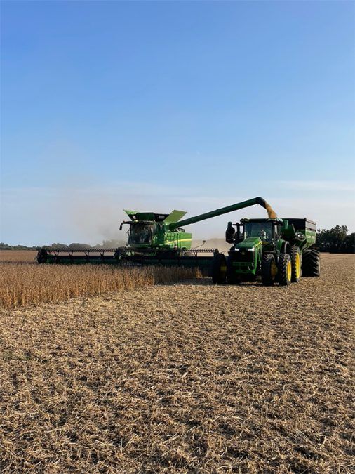This is a photo of a cash crop field with a tractor.