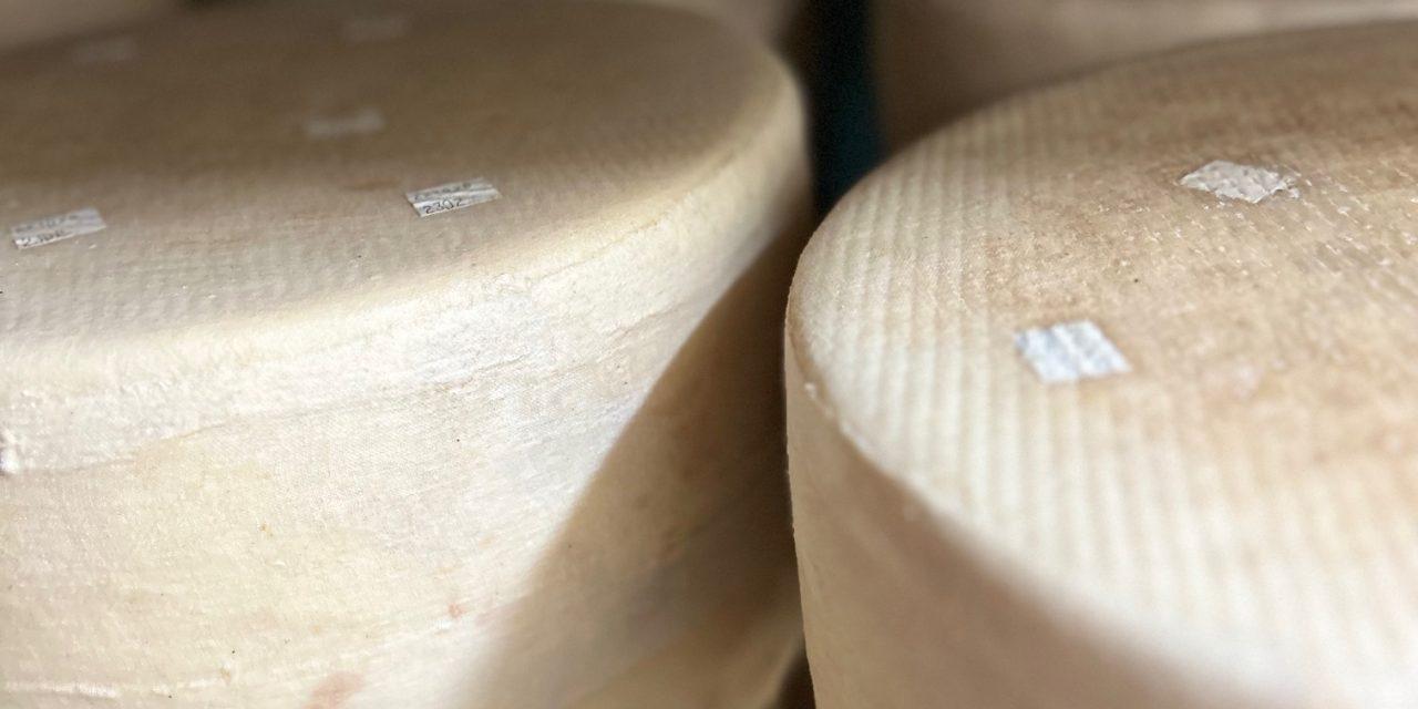 Glengarry Fine Cheese wins top Global Cheese Awards