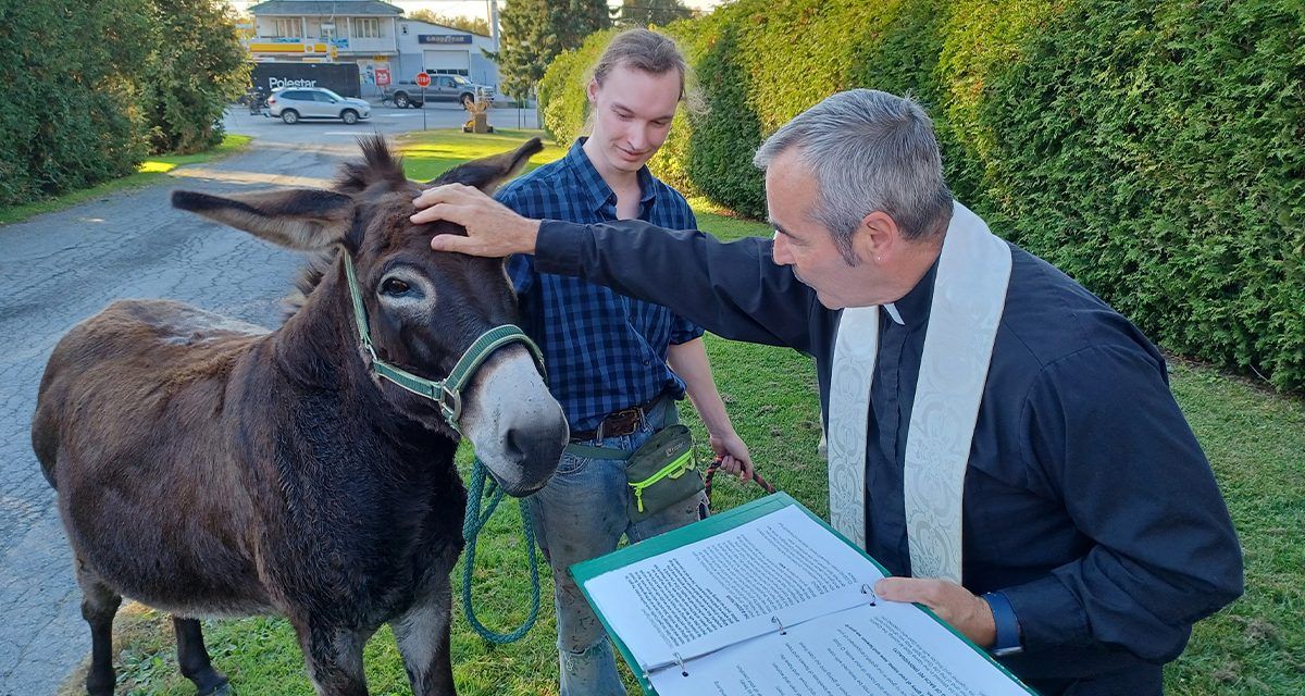 All creatures great and small at Blessing of the Animals
