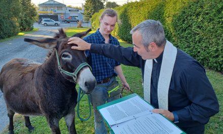All creatures great and small at Blessing of the Animals