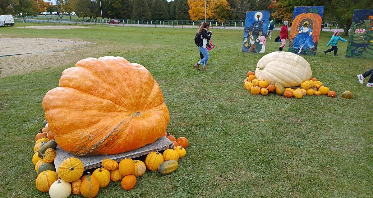 Pumpkin festival time in St-André-d’Argenteuil