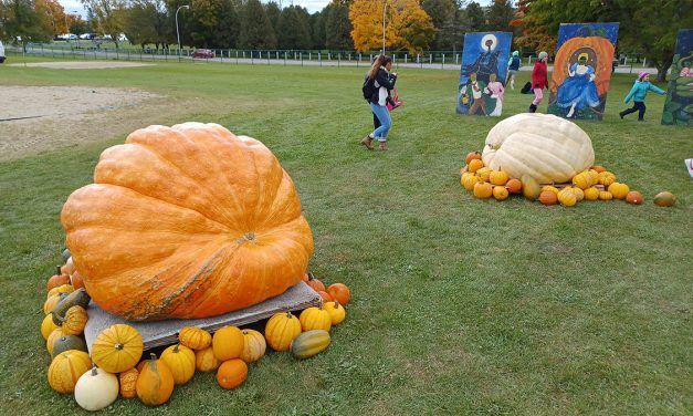 Pumpkin festival time in St-André-d’Argenteuil