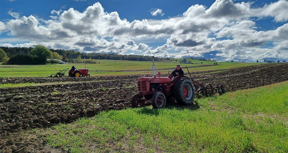 Fun and furrows at John Allen Plow Day