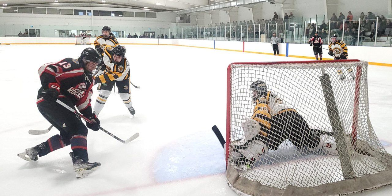 Desjardins records hat trick, as Cougars top North Dundas 4-2