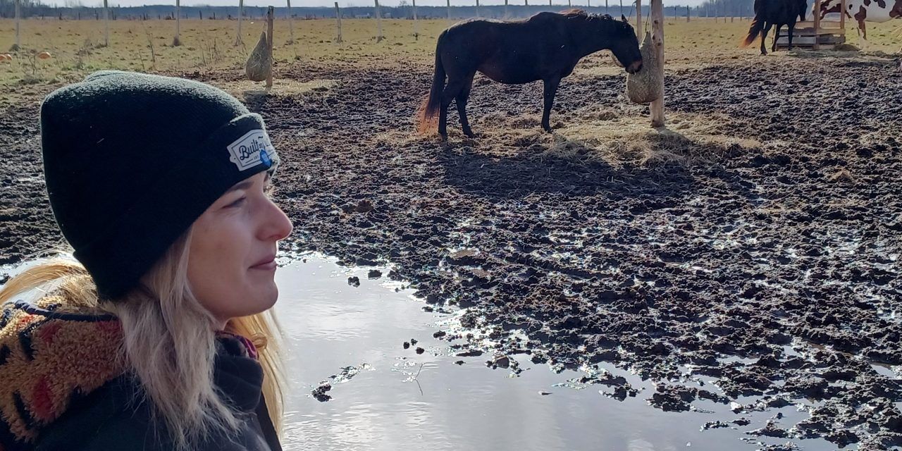 Horse refuge hosting fundraiser on December 10