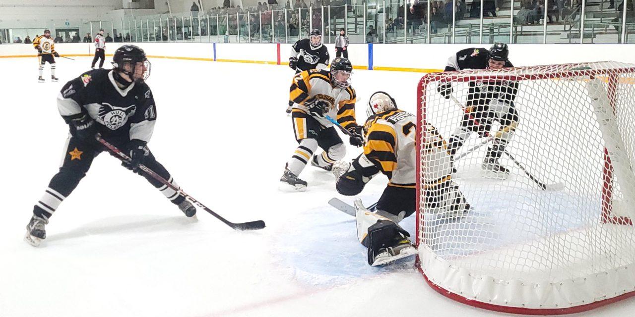 Gatineau-Hull cools off red-hot Cougars