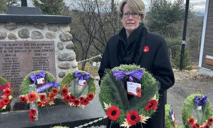 Final chapter of a veteran’s medals