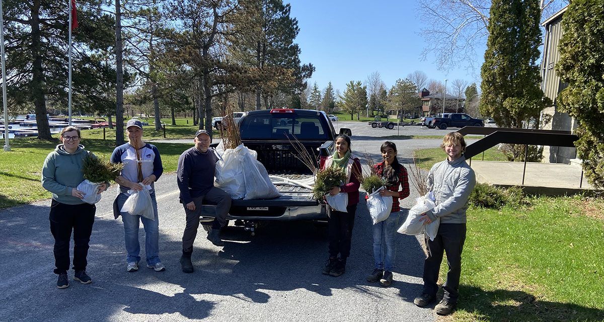 RRCA seedling program enhances local tree cover 