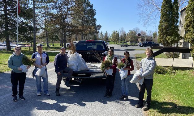RRCA seedling program enhances local tree cover 