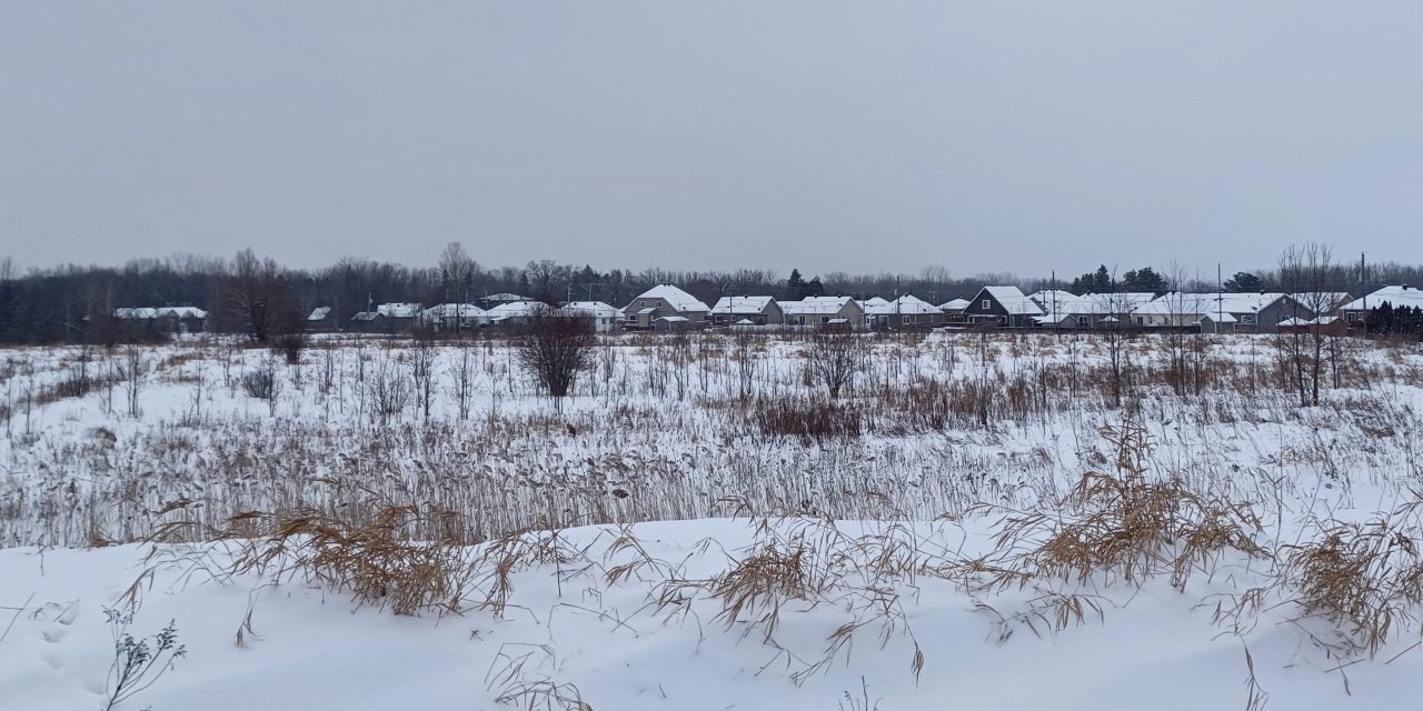 Zoning for multi-family homes adopted in Grenville