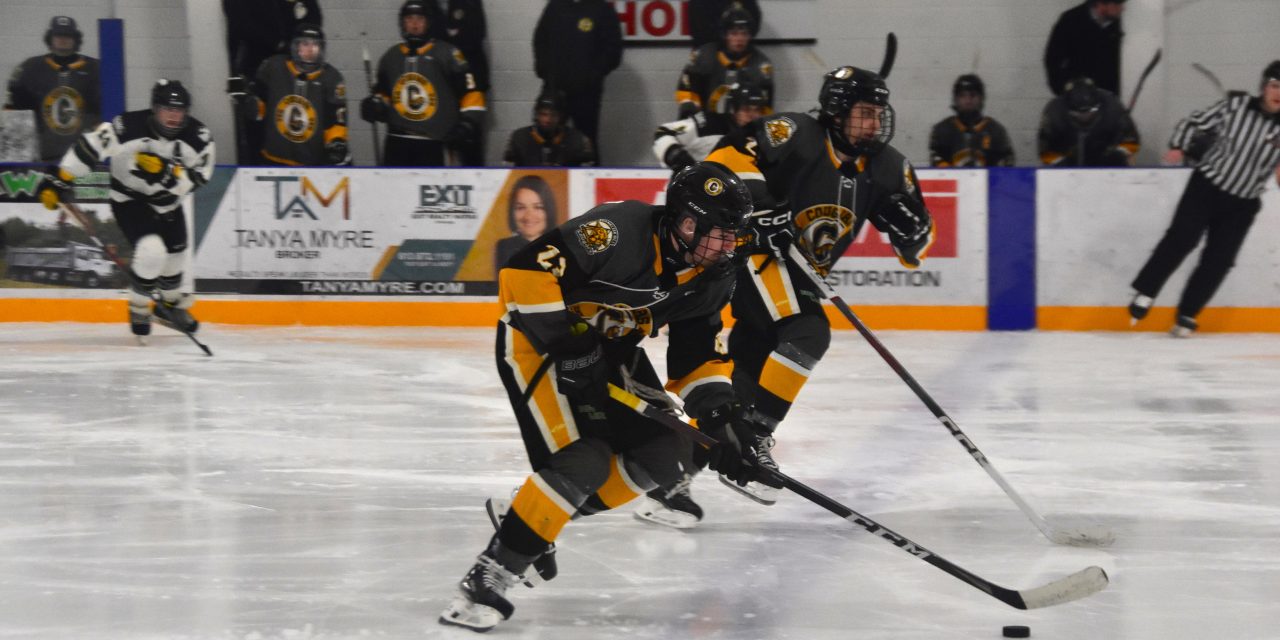 Cougars clinch series with 8-6 win over St-Isidore