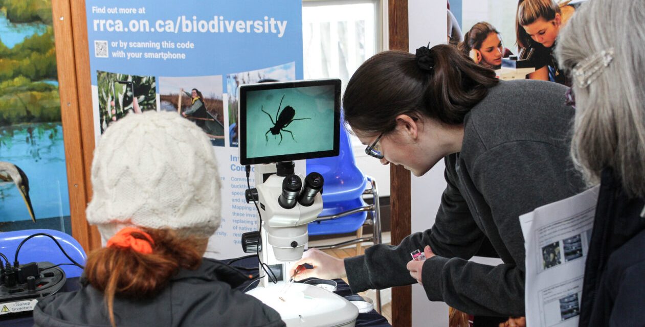 March Break conservation activities for the family