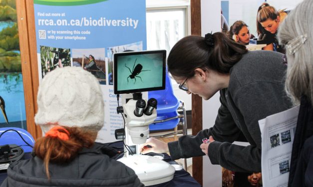 March Break conservation activities for the family