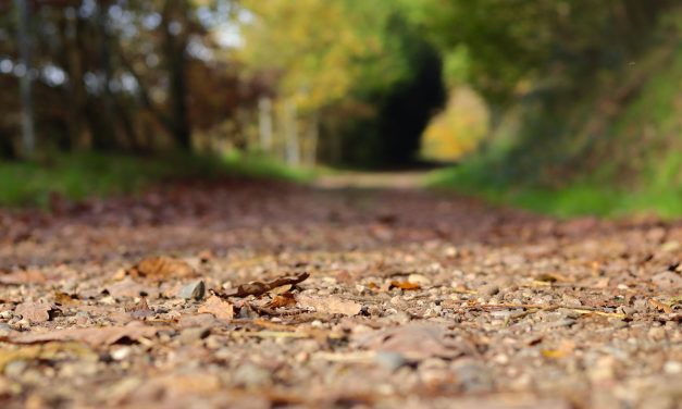 Load limits lifted on bridge in Grenville-sur-la-Rouge