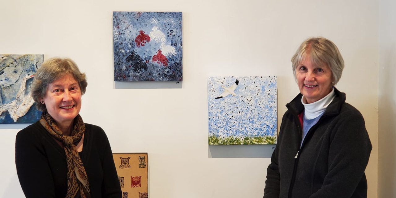 Masterful exhibition captivates the eye at Arbor Gallery