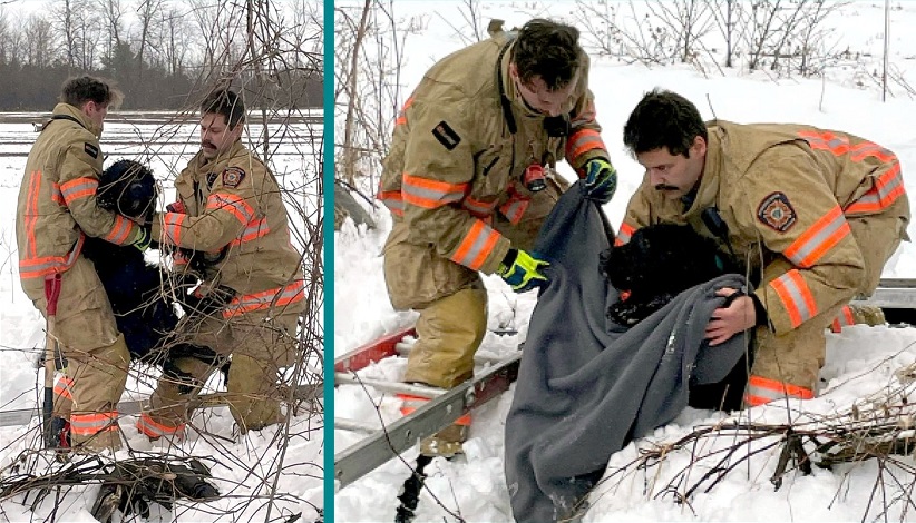 Brownsburg-Chatham firefighters rescue dog from well