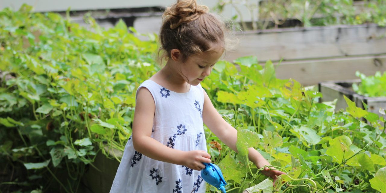 Green activities for all ages at Champlain Library
