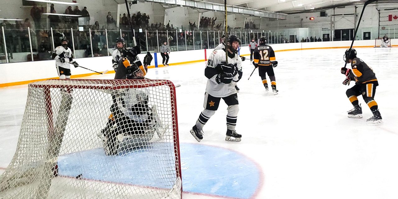 Cougars take solace in great playoff run