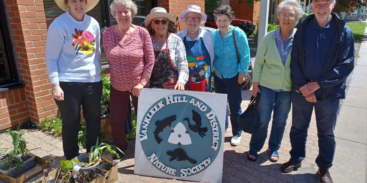 Plant sale for nature society in Vankleek Hill