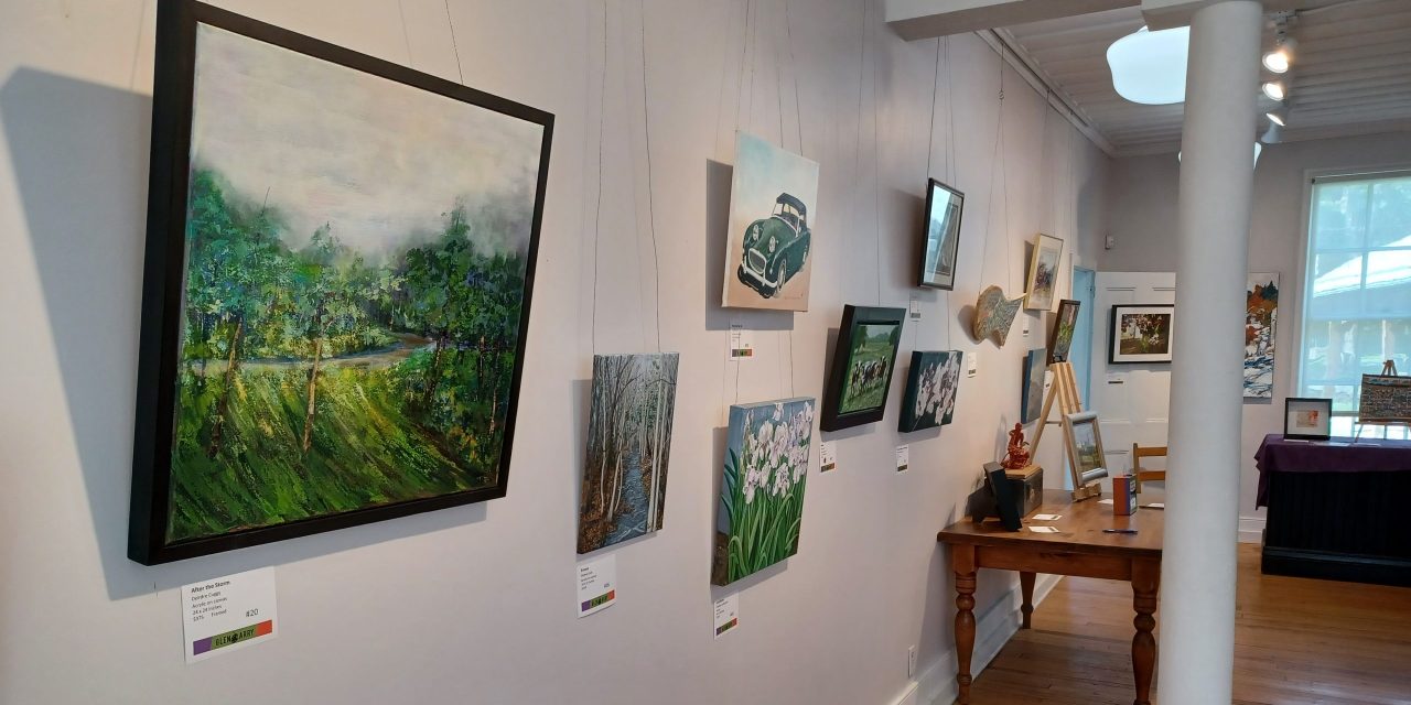 Juried Art Exhibit begins May 23 in Williamstown