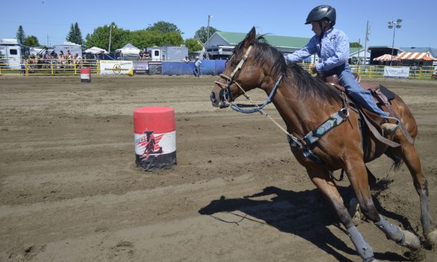 Gymkhana comes to Vankleek Hill