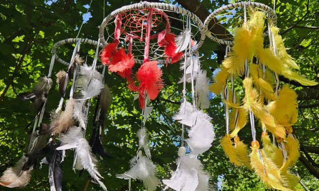 Fibre arts coming to grounds of Arbor Gallery