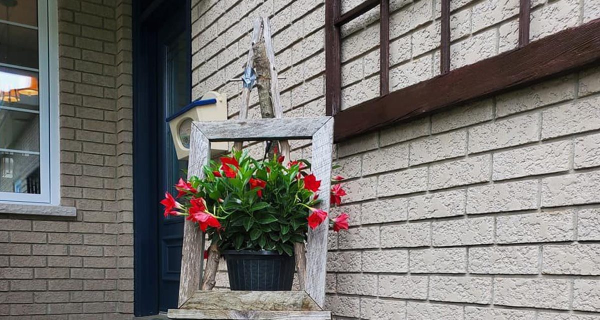 The whimsy of summer in your garden