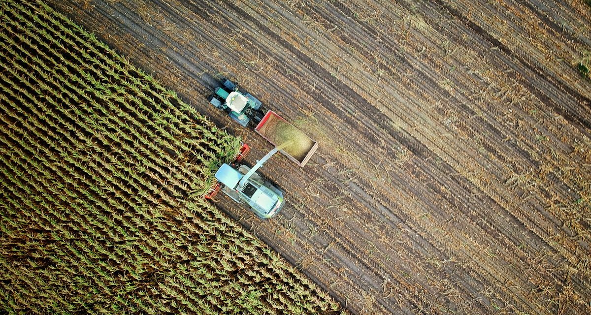 Ontario farmers facing uncertainty amid tariffs and trade challenges