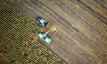 Ontario opens nominations for 2026 Excellence in Agriculture Awards