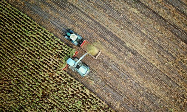 Ontario farmers facing uncertainty amid tariffs and trade challenges